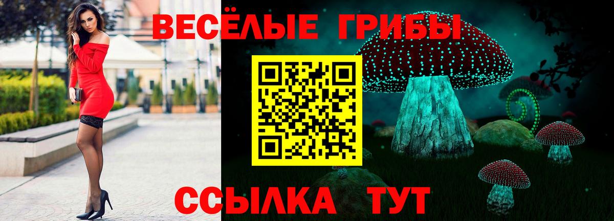 Псилоцибиновые грибы Psilocybe  Галлюциногенные грибы Psilocybe  Фурманов  Вход с VPN 